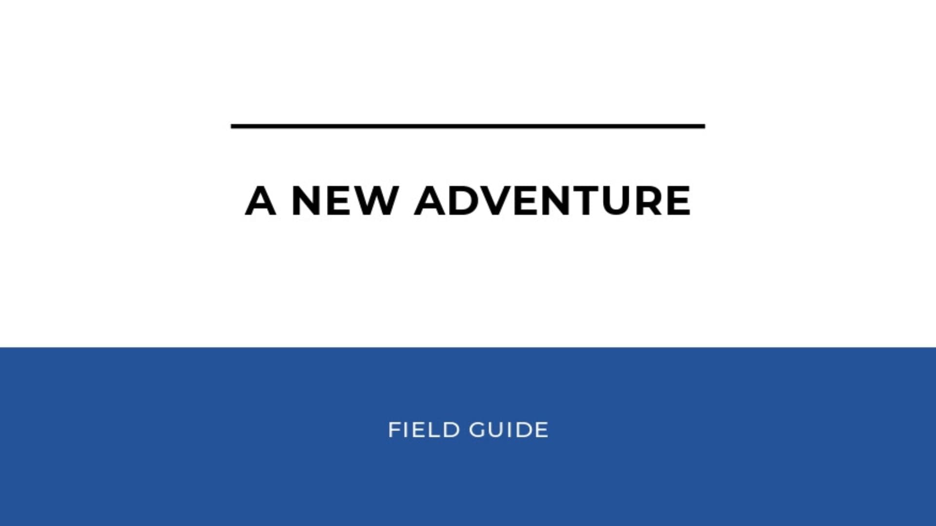 A New Adventure